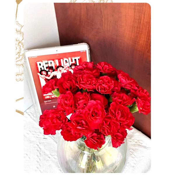 red Spray Carnation